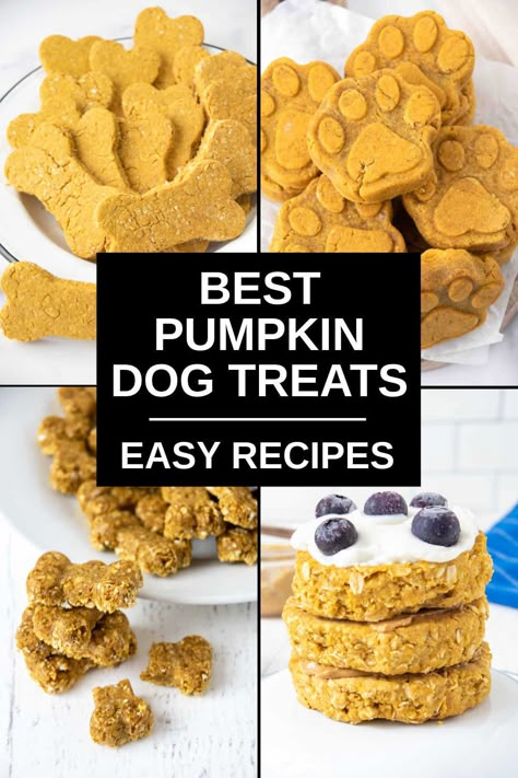 Homemade Dog Treats With Pumpkin, Best Homemade Dog Treats, Dog Treats With Pumpkin, Dog Treats Homemade Pumpkin, 3 Ingredient Dog Treats, Dog Treats Chicken, Power Bites, Frozen Dog Treats Homemade, No Bake Dog Treats