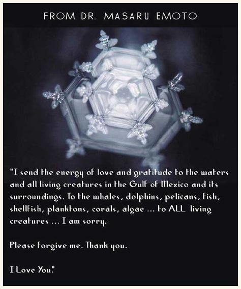 Dr. Masaru Emoto's water crystals show us the power of words; be kind and speak kindly to others:)  Please follow link: https://my.charitywater.org/36-pictures-a-day Air Crystals, Dr Emoto, Masaru Emoto Water, Hidden Messages In Water, Water Crystals, Speak Kindly, Masaru Emoto, Water Experiments, Structured Water