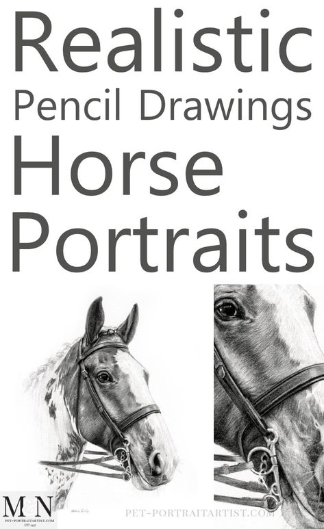 Pencils Drawings Sketches, Horse Art Drawing Sketches, Realistic Horse Drawings, Realistic Horse Sketch, How To Draw A Horse, Birds Pencil Drawing, Equine Art Pencil Drawings, Realistic Rose Drawing, Drawings Of Horses