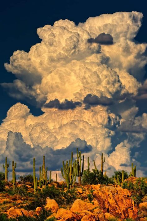 Monsoon Clouds, Waiting For Rain, Country Wallpaper, Desert Aesthetic, Wallpaper Aesthetics, Western Artwork, Western Landscape, Desert Painting, Pretty Landscapes