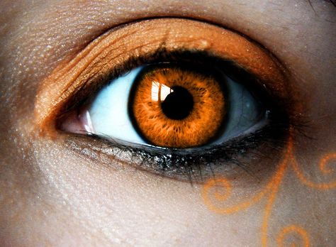 Orange Eyes Aesthetic, Eye References, Eye Color Chart, Orange Eyeshadow, Orange Eyes, Amber Eyes, Magic Eyes, Aesthetic Eyes, Hazel Eyes