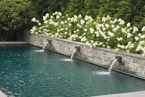 Raised Wall Pool, Pool With Wall Feature, Pool Next To Wall, Transitional Backyard With Pool, Pool With Planter Wall, Water Features Pool, Pool With Hydrangeas, Pool Landscaping With Retaining Wall, Pool With Privacy Wall