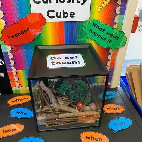 Shelley on Instagram: “First theme in the curiosity cube is Julia Donaldsons stickman #curiositycube #curiositycubes #juliadonaldsonbooks #primaryschoolteacher…” Curiosity Cube Eyfs Ideas, Eyfs Reception, Investigation Station, Curiosity Approach Eyfs, Eyfs Planning, Science Center Preschool, Investigation Area, Cube Ideas, Curiosity Box