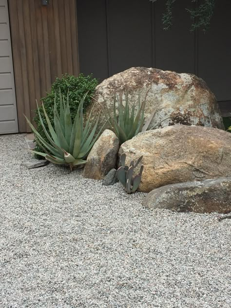 Desert Plants Landscaping, Desert Scape, Courtyard Plants, Beach House Garden, Stone Landscaping, Landscape Rock, Landscaping With Boulders, Landscaping Retaining Walls, Coastal Gardens