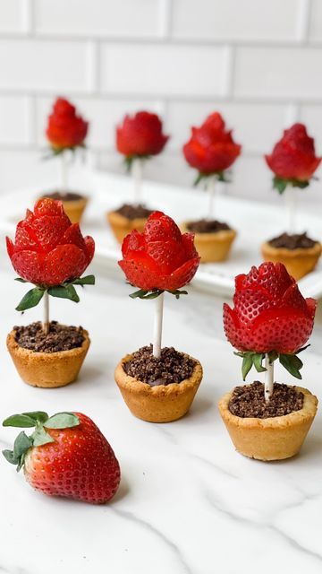 Stephanie Niemis on Instagram: "🌹Flower Pot Sugar Cookies → A strawberry rose in a sugar cookie flower pot filled with dirt made of chocolate mousse and cookie crumbs.🌹 ⭐️ Follow for more simple, healthier, fun recipes ⭐️ My kids were pretty obsessed with these, and I was thinking they would be a fun Mother’s Day dessert! The strawberry roses look fancy, but they’re actually super easy to make. So many of the ingredients I used came from @‌ifiprovisions. If you’ve been following me for awhile, you know I love this company! Feel free to use my code HEALTHYHOLME to save 15% site-wide! ✨ Flower Pot Sugar Cookies ✨ (makes 12) Sugar Cookie Ingredients: - 2 cups @‌ifiprovisions White Almond Flour - 2 tbsp honey - 2 tbsp coconut oil, melted - 1 tsp @‌ifiprovisions Pure Madagascar Vanilla Extr Flower Desserts, Mothers Day Desserts, Pot Cookies, Strawberry Rose, Gourmet Desserts, Flower Cookies, Strawberry Desserts, Fun Kids Food, Top Recipes