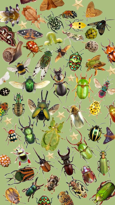 Cool Bugs, Bug Art, Whatsapp Wallpaper, Beautiful Bugs, Hippie Wallpaper, Insect Art, Phone Wallpaper Patterns, Arte Inspo, Cool Wallpapers Art