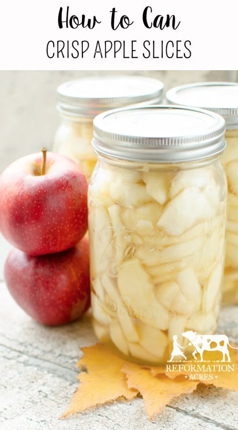 How to Can Apple Slices | Crispy & Sweet - Reformation Acres | Recipe | Canning recipes, Canned apples, Canning apples Canning Apples, Canning 101, Canning Fruit, Home Canning Recipes, Canned Food Storage, Canning Tips, Canned Apples, Canning Food Preservation, Food Canning