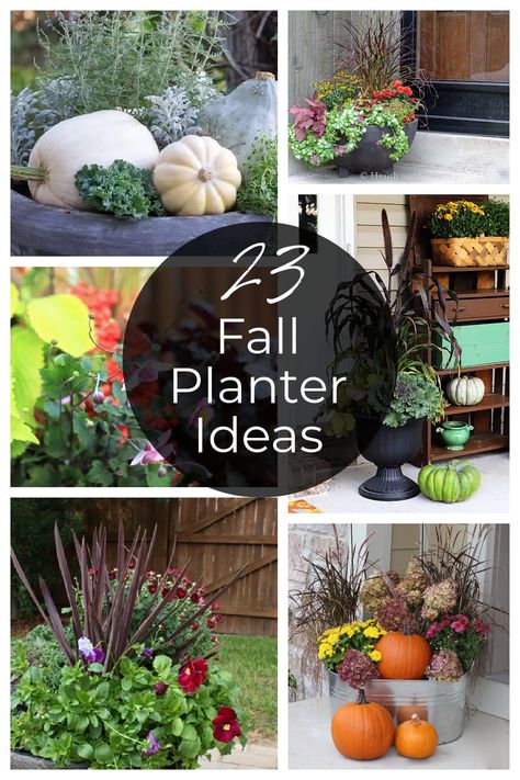 Be inspired by this large list of outdoor planters for your front porch this fall that will last from now until Christmas. Mums On Porch For Fall, Fall Planter Box Ideas Front Porches, Fall Flower Planters Front Porches, Best Plants For Fall Planters, Fall Planters Front Porches Shade, Large Planters Outdoor Ideas Fall, Fall Flowers Garden Pots, Fall Front Door Planters, Autumn Planters Outdoor