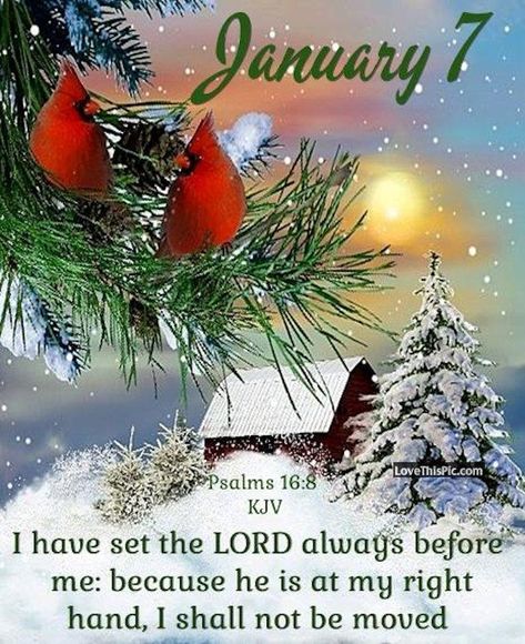 Hello January Quotes, January Quotes, Blessed Wednesday, True Vine, Good Morning Beautiful Images, Good Morning God Quotes, What Day Is It, Morning Greetings Quotes, Animated Christmas