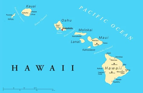 Wondering what's the best Hawaiian Island to visit? Here's a Hawaiian Islands Map and a Comparison of all the Hawaiian Islands. Wailuku Maui, Hawaiian Islands Map, Best Hawaiian Island, Map Of Hawaii, Kailua Hawaii, Hawaii Map, Nursing License, Hawaiian Travel, Hawaii Travel Guide