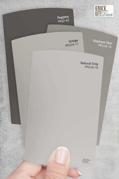 behr-multi-Natural-gray-chips Gladiator Gray Behr, Natural Gray Paint Behr, Toasty Gray Behr Color Palettes, Hailstorm Gray Behr, Behr Gratifying Gray, Behr Peppery Paint, Doeskin Gray Behr, Flannel Gray Behr Paint, Chic Grey Behr Paint