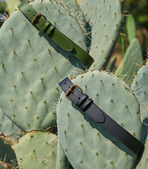 Leather Photography Ideas, Belts Photoshoot, Cactus Photoshoot, Belt Photography, Leather Photoshoot, Photographer Ideas, Content Inspiration, Fashion Still Life, Eco Products