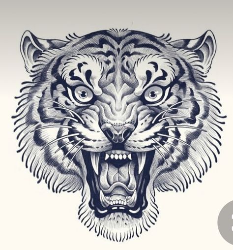 Traditional Tiger Face Tattoo, Tiger Head Illustration, American Traditional Tiger Head, Japanese Tiger Head Tattoo, Roaring Tiger Tattoo, Traditional Tiger Head Tattoo, Tiger Head Tattoo Design, Tiger Face Drawing, Tiger Face Tattoo