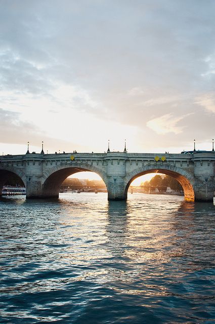 The Seine, Paris Siene River, Magic Places, Seine River, La Seine, The Seine, Paris Photo, A Bridge, Pretty Places, Oh The Places Youll Go