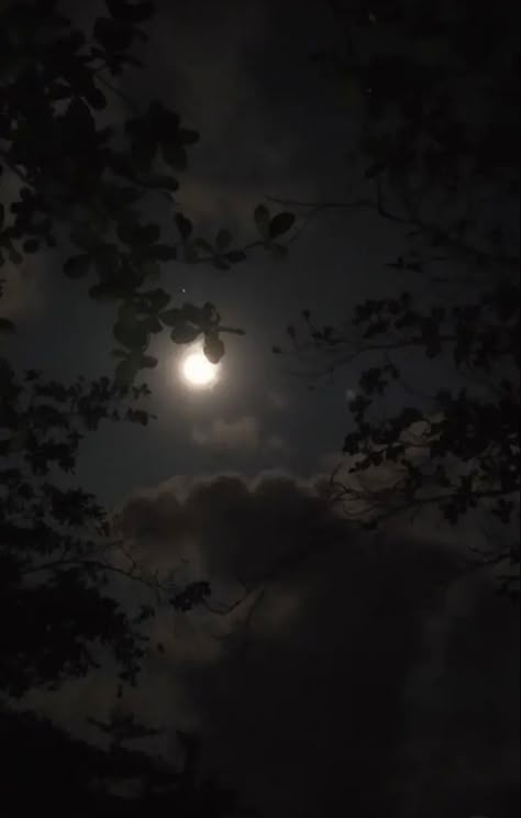 Song Of Silver Flame Like Night Aesthetic, Ethereal Night Aesthetic, Dark Forest Aesthetic Night Moon, Book Of Night Aesthetic, Moonlight Forest Aesthetic, Moonlit Night Aesthetic, Nature At Night Aesthetic, Woods Night Aesthetic, Moonlit Forest Aesthetic