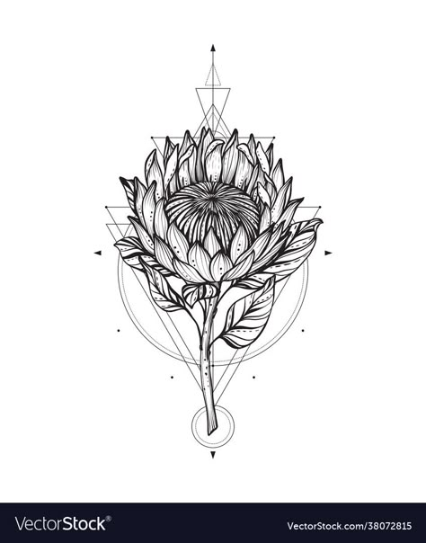 Protea Flower Tattoo Design, Protea Tattoo Black And White, South African Tattoos For Women, Protea Tattoo Design, African Flower Tattoo, South African Tattoo Ideas, South Africa Tattoo Ideas, King Protea Tattoo, Protea Flower Tattoo