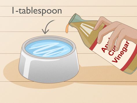 4 Ways to Kill Fleas in a Home - wikiHow Flea Spray For Furniture, Kill Fleas In House, Diy Flea Trap, Flea Spray For House, Kill Fleas On Dogs, Homemade Flea Spray, Flea Spray For Dogs, Dog Flea Remedies, Home Remedies For Fleas