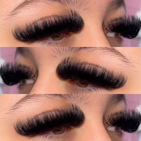 D Curl Mega Volume Lashes, Individual Lashes Mega Volume, Light Mega Volume Lash Extensions, Long Thick Eyelashes Extensions, Full Mega Volume Lash Extensions, Extra Volume Eyelash Extensions, Full Russian Volume Lashes, Mega Volume Hybrid Lash Extensions, Mega Volume Doll Eye Lash Extensions