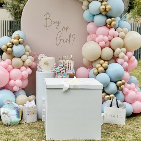 Our Extra Large Box Available for Your Gender Reveal . #genderreveal #balloonreveal #boyorgirl #pinkorblue #itsaboy #itsagirl #teampink #teamblue #balloondecor #partydecor #genderparty #surprise #cantwait #excitedparents #babynumber Gender Reveal Box Ideas, Box Gender Reveal, Summer Baby Shower Themes, Gender Reveal Box, Team Pink, Balloon Box, Gender Party, Summer Baby Shower, Baby Gender Reveal Party