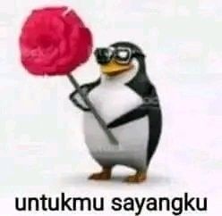 Ayam Krispi, Meme Absurd, Meme Indo, Random Meme, Cute Jokes, Meme Stickers, Cartoon Memes, Cartoon Jokes, Ethereal Art