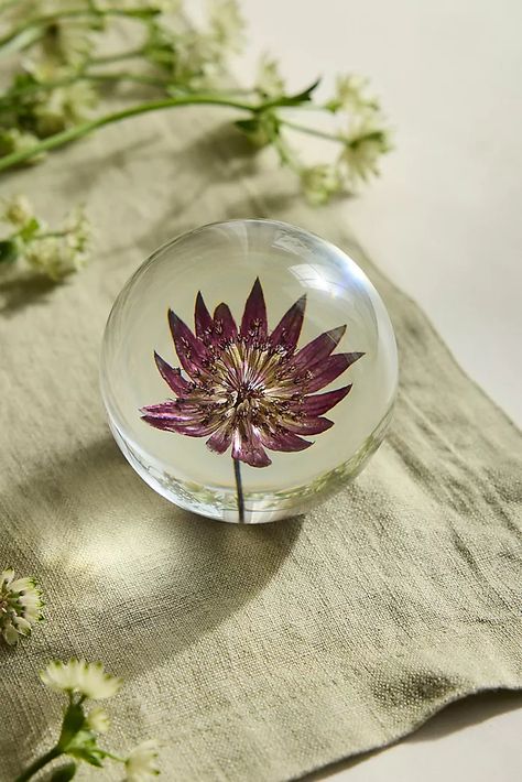 Home Gifts & Home Decor Gifts | Anthropologie Resin Paperweights, Botanical Resin, Purple Fits, Gifts For Home, Home Decor Gifts, Flower Farm, Clear Resin, Paperweights, Real Flowers