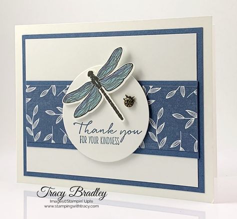 Dragonfly Garden Cards, Stampin Up Dragonfly Dreams, Stampin Up Dragonfly, Dragonfly Cards, Dragon Garden, Dragonfly Garden, Dragonfly Dreams, Garden Suite, Dragon Flies