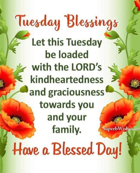 Tuesday Blessed, Have A Blessed Tuesday, Blessed Tuesday, Marvelous Monday, Tuesday Blessings, Good Morning Happy Thursday, Tuesday Quotes, Good Morning Spiritual Quotes, Coffee Friends