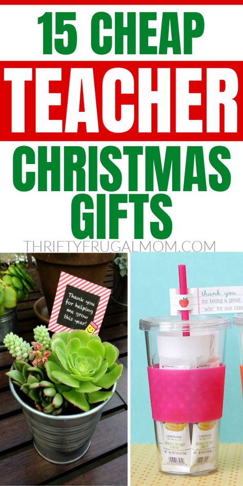 These Christmas gifts for teachers are frugal but fun! The perfect list of practical, unique ideas to bless your teacher this holiday season! Yes, you really can give a great gift on a budget! #thriftyfrugalmom #teachergifts #christmasgifts #holidaygifts #cheapgifts #frugalgiftideas Teacher Christmas Gifts From Pta, Christmas Gift Idea For Teachers Cheap, Pta Christmas Gifts For Teachers, Nursery Teacher Christmas Gift Ideas, Teacher Gardening Gifts, Preschool Teachers Gift, Unique Christmas Gifts For Teachers, Multiple Teacher Christmas Gift Ideas, Christmas Gift Ideas For Teachers Cheap