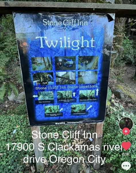 Twilight Trip, Washington Twilight, Forks Washington Twilight, Forks Twilight, Twilight Movie Scenes, Twilight Party, Twilight Scenes, Silver Falls State Park, New Moon Eclipse