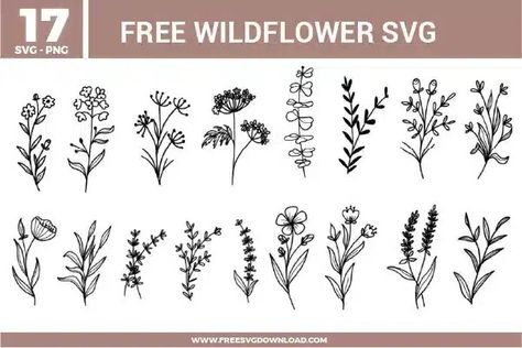 Flower Svg Free, Wild Flower Svg, Nature Clipart, Svg Images For Cricut, Daisy Svg, Wildflower Svg, Nature Svg, Free Svg Images, Images For Cricut