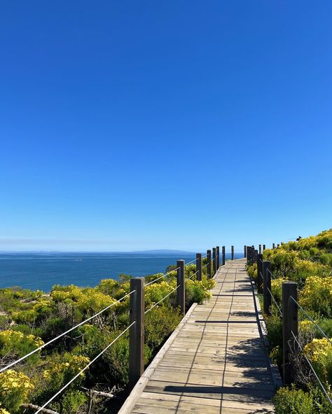 Point Dume in Malibu has the best views, sunset here is amazing. Super lowkey slept on spot. Point Dume Malibu Photography, Malibu California Aesthetic, Malibu City, Point Dume Malibu, Views Sunset, Malibu Rising, California Pictures, California Towns, Film Shoot