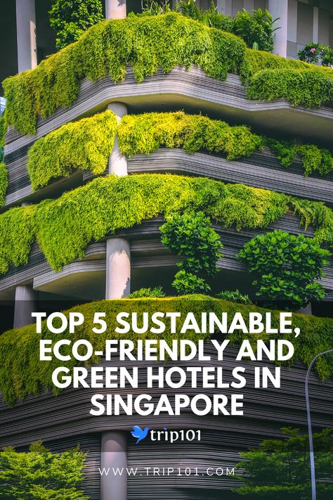 As the city turns towards sustainable solutions, why not choose from this list of sustainable hotels in Singapore to make your stay in the Lion City not only memorable but meaningful as well!  Read this guide on the Top 5 Sustainable, Eco-Friendly And Green Hotels In Singapore Green Hotel Architecture, Sustainable Hotel Design, Sustainable Hotel, Green Hotel, Environmental Sustainability, Eco Home Sustainable Living, Eco Friendly Ganesha, Classic Hotel, Eco Green