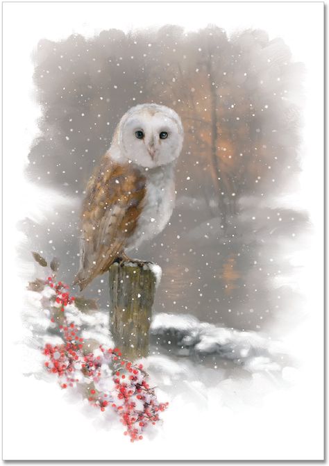 Winter Owl Small Boxed Holiday Cards (Christmas Cards, Greeting Cards): Peter Pauper Press: 9781441321060: Amazon.com: Books Woodland Animal Crafts, Drawings Of Birds, Owl Christmas Card, Snowy City, Peter Pauper Press, Winter Owl, Owl Christmas, Boxed Christmas Cards, Paintings Tutorials