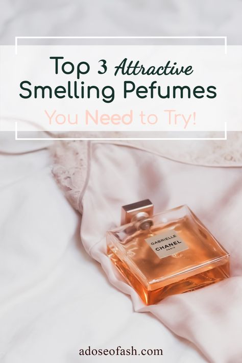 If you want to smell super sexy and attractive, you must add my top three perfumes for women to your perfume collection. They smell so amazing and will definitely be a compliment driver. Smelling good helps you to feel confident within yourself, but your man will be obsessed with you. If you've been trying to find a perfect perfume that works for you, then look no further! #beautytips #beautyhacks #perfume Perfect Perfume, Fragrance Store, Smelling Good, Family Brunch, Perfumes For Women, Perfume Collection, Your Man, Smell Good, Body Spray