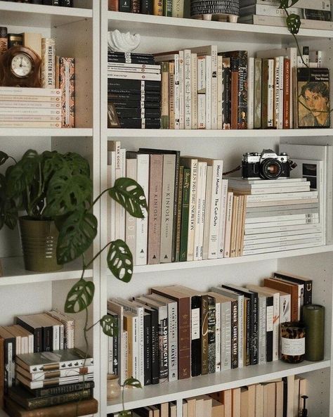 All I Need is a Little Cabin in the Woods (25 Photos) - Suburban Men Bookshelf Inspiration, Little Cabin In The Woods, Little Cabin, Room Inspiration Bedroom, Home Library, Book Shelf, Room Aesthetic, My New Room, New Room