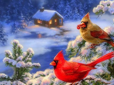 birds in winter | Cardinals in Winter★ - Birds & Animals Background Wallpapers on ... Cozy Winter Decor, Christmas Cardinals, Christmas Bird, Cardinal Birds, Diamond Mosaic, Christmas Scenes, Winter Art, Red Birds, Art Kit