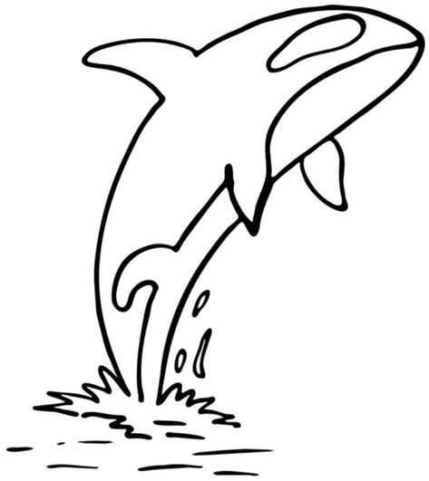 Orca Outline, Whale Template, Orca Drawing, Traceable Art, Whale Outline, Ocean Vbs, Science Experiments Kids Preschool, Ocean Craft, Colouring In Pages