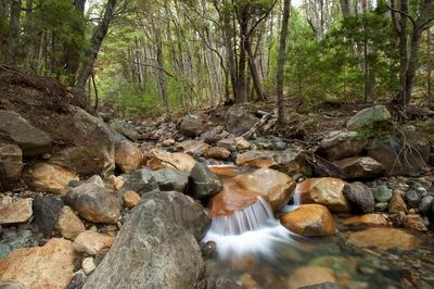 Organic (Biological) Weathering Explained Mechanical Weathering, Physical Weathering, Biological Weathering, Weather Rock, River Rock Landscaping, Dry Creek Bed, Vertical Garden Wall, Creek Bed, River Bed