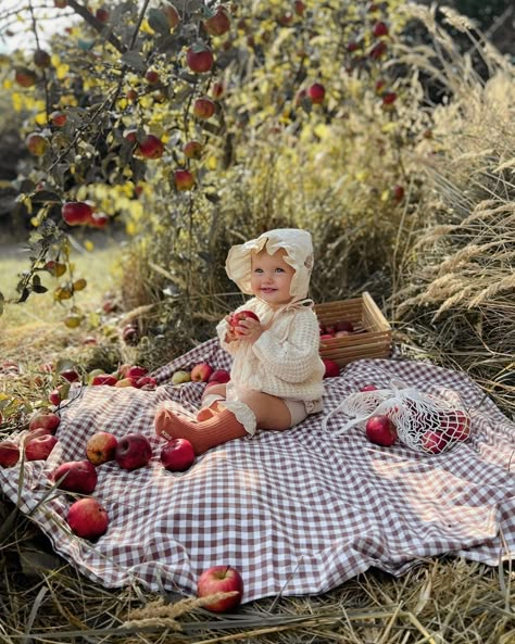 6 Month Apple Pictures, Apple Orchard Baby Pictures, Heirloom First Birthday Photos, 6 Month Fall Baby Picture Ideas, 6 Month Baby Picture Ideas Fall, 6 Months Baby Photoshoot Ideas 6 Month Baby Photoshoot Ideas, Baby Picnic Photoshoot, Baby 6 Month Photoshoot, 6months Photoshoot Ideas