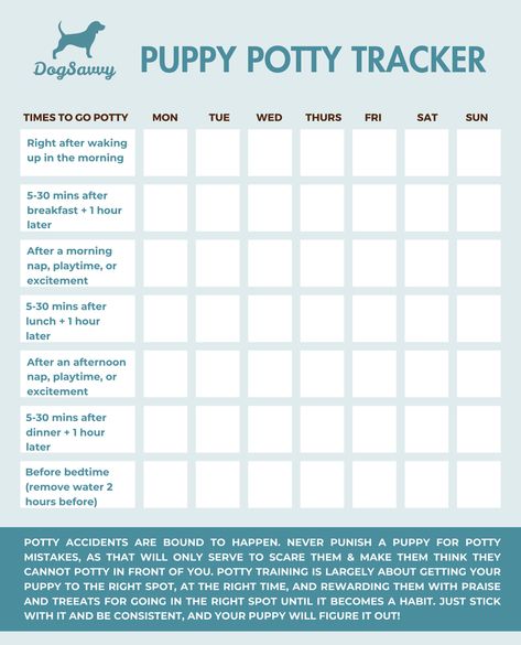 How To Potty Train A Puppy Puppy Potty Training Schedule Printable, Dog Potty Schedule, Puppy Potty Training Schedule By Age, How To Potty Train A Puppy, Puppy Training Schedule By Age, Puppy Potty Training Schedule, Lab Puppy Training, Potty Training Schedule, Minnie Pearl