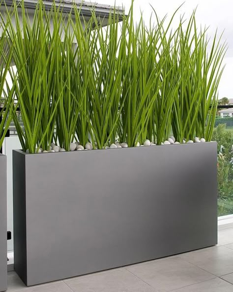 Matthew Lang on Instagram: "Looking to add a little bit of privacy to your outdoor space ? Check out these artificial UV Tolerant Light Green Grasses we recently installed. #artificial #greengrass #custom #design #modern #privacy #highquality #uvtolerant #exclusive #plants" Long Planter Ideas Outdoor, Planters Around Pool For Privacy, Grass Planter Boxes, Tall Grasses For Privacy Planters, Plant Privacy Screen, Faux Plant Privacy Screen, Tall Ornamental Grasses Privacy Screens, Privacy Planters, African Homes