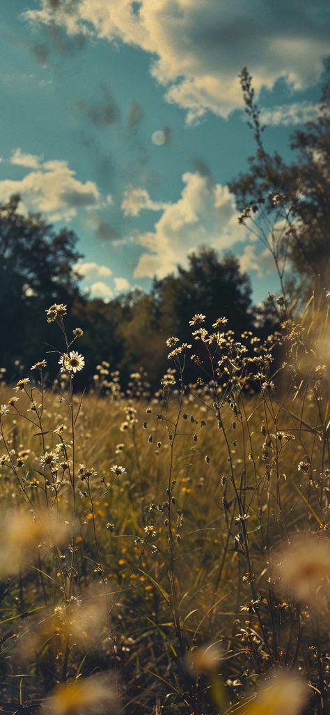 Aesthetic Wildflowers, Image Nature, Pretty Landscapes, Phone Wallpaper Images, Photography Wallpaper, Jolie Photo, Pretty Wallpapers Backgrounds, Landscape Wallpaper, Cute Wallpaper Backgrounds