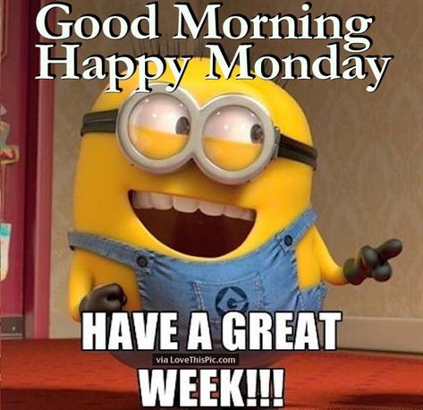 Good Morning Happy Monday Minion Quote Good Morning Happy Monday, Now Quotes, Minions Love, A Minion, Birthday Quotes Funny, Minion Quotes, Funny Minion Quotes, Minions Quotes, Birthday Meme