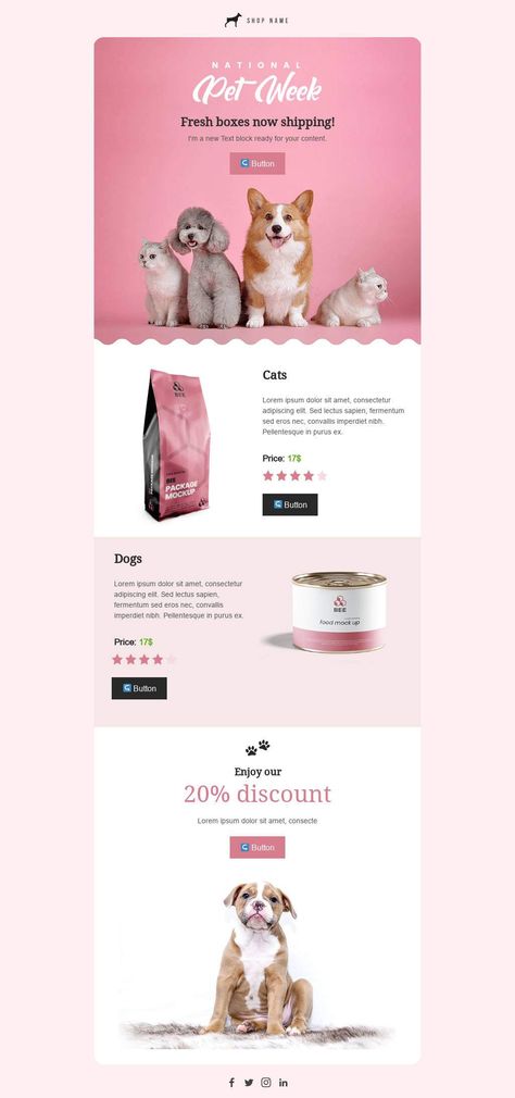 E-mail Template Design, Email Marketing Design Ecommerce, Email Graphic Design Layout, Email Ads Design, Email Template Design Creative, Mobile Email Design, Email Promotion Design, New Product Email Design, Ecommerce Email Design