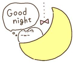 Good Night Meme Cute, Good Night Stickers, Good Night Cute, Good Night For Him, Good Night Cat, Cute Text, Cheer Up Quotes, Cute Text Quotes, Cutie Quote