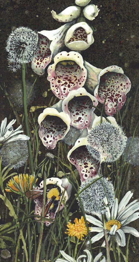 THE FEY FOXGLOVE BY MAGGIE VANDEWALLE Maggie Vandewalle Art, Foxglove Drawing, Foxglove Art, Foxglove Illustration, Maggie Vandewalle, Watercolor Gouache, Flower Display, Delphinium, Flower Illustration