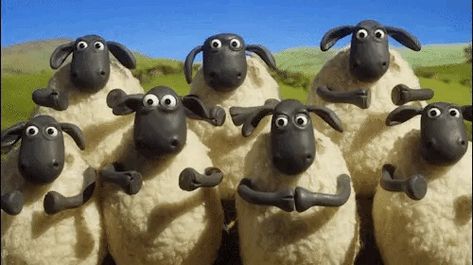 Happy Birthday GIF Applause Gif, Clapping Gif, Funny Happy Birthday Gif, Shawn The Sheep, Ok Gif, Happy Birthday Gif, Animiertes Gif, Aardman Animations, Sheep Breeds