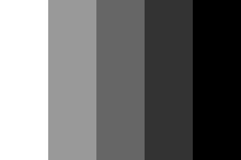 Web-safe Grayscale color palette created by nutiktehwolf that consists #ffffff,#999999,#666666,#333333,#000000 colors. Black Color Palettes, Shades Of Gray Color, Sf Wallpaper, Makeup Look Black Women, Monochrome Color Palette, Create Color Palette, Monochrome Makeup Look, Black Color Palette, Monochrome Makeup