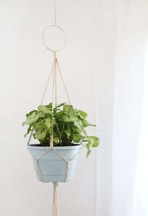 Diy Macrame Plant Hanger Pattern, Diy Macrame Projects, Diy Macrame Wall Hanging, Rope Plant Hanger, Diy Hanging Planter, Simple Macrame, Macrame Plant Hanger Tutorial, Macrame Plant Hanger Patterns, Macrame Hanging Planter