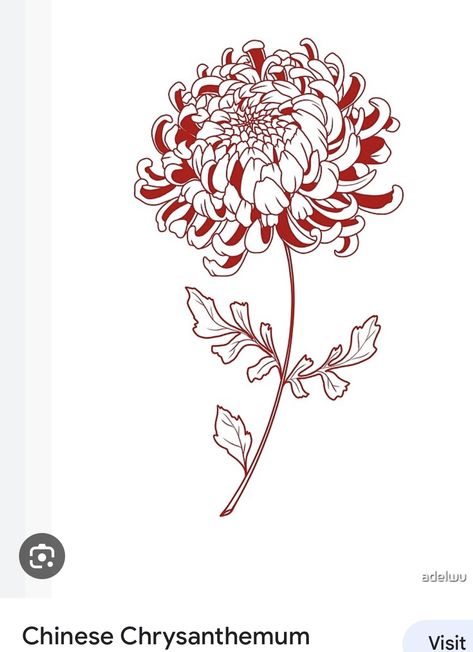 Red Chrysanthemum Drawing, Chrysanthemum With Stem Tattoo, Mums Tattoo Flower Chrysanthemums, Minimal Chrysanthemum Tattoo, Crisanthiums Flower Tattoo Design, Chrissanthamum Flower Tattoo, Chrysanthemum Book Tattoo, Orange Chrysanthemum Tattoo, Scorpio Chrysanthemum Tattoo